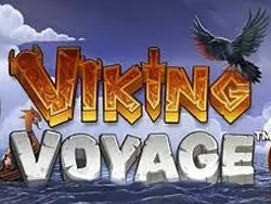Viking Voyage