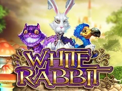 White Rabbit