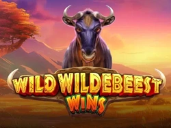 Wild Wildebeest Wins