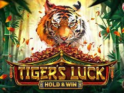 Tigers Luck