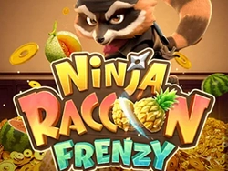 Ninja Raccoon Frenzy