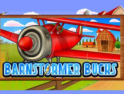 Barnstormer Bucks